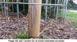 Træbeskytter i kraftig tråd. H:100cm. - ø30cm. (Mindste salg 3 stk.)