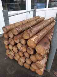 Granpæle, ø10-14cm, 150cm   (Sendes ikke)