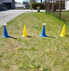 Kegle, blå eller gul, 1stk