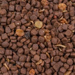 Pindsvinfoder, 600g