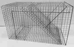 Skade-kragefælde-mågefælde med 1 rum