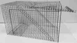 Skade-kragefælde-mågefælde med 1 rum