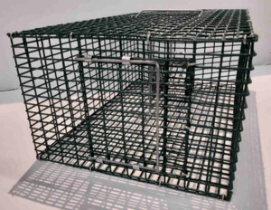 Rottefælde til massefangst