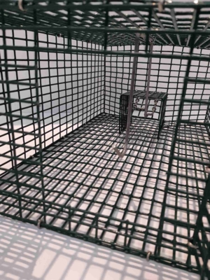 Rottefælde til massefangst