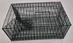 Rottefælde til massefangst