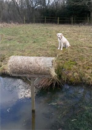 Duck Tube - Andehus  i kraftig tråd.