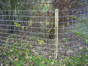 Fårehegn. Højde:1,0m.  Længde: 50m.  Overflade: Galvaniseret