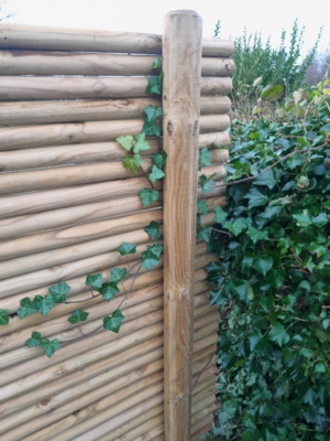 Rafte Ø: 5cm. L: 220cm. Trykimp. kl. A.    God til raftehegn.