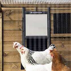 Hønselem "Chickenguard" med lås