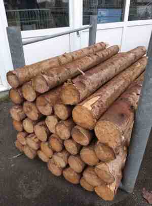 Granpæle, ø10-14cm, 150cm   (Sendes ikke)