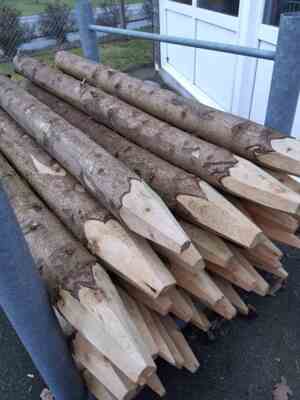 Granpæle, ø10-14cm, 150cm   (Sendes ikke)