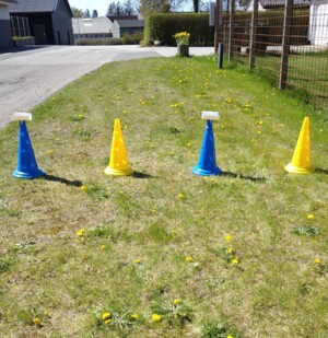 Kegle, blå eller gul, 1stk