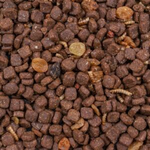 Pindsvinfoder, 600g
