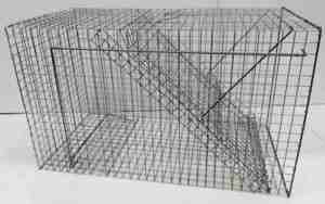 Skade-kragefælde-mågefælde med 1 rum