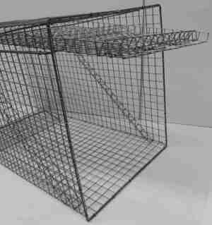 Skade-kragefælde-mågefælde med 1 rum