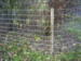 Fårehegn. Højde:1,0m.  Længde: 50m.  Overflade: Galvaniseret