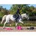 Cavaletti blok, sort eller pink. 1stk